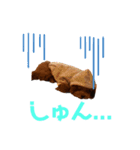 リク(170)（個別スタンプ：6）