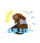 リク(170)（個別スタンプ：7）