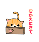 ネコのみゃーちゃん（個別スタンプ：11）