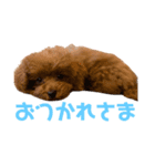 MOCO(173)（個別スタンプ：3）