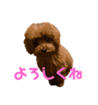 MOCO(173)（個別スタンプ：5）