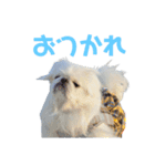 ぼん(174)（個別スタンプ：7）