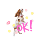 ノアちゃん♡スタンプ（個別スタンプ：1）