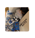 なのんちゃんのスタンプ（個別スタンプ：3）