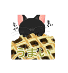 紳士な黒猫ドリル（個別スタンプ：24）