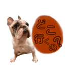 俺らのスパイク（個別スタンプ：1）