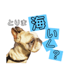 俺らのスパイク（個別スタンプ：2）
