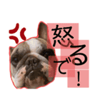 俺らのスパイク（個別スタンプ：7）