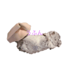 はなちゃん(デグー)（個別スタンプ：6）