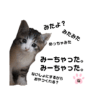 ねこのナゴヤだよ（個別スタンプ：2）
