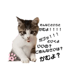 ねこのナゴヤだよ（個別スタンプ：8）