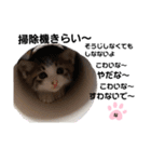 ねこのナゴヤだよ（個別スタンプ：9）