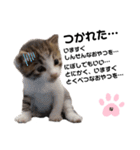 ねこのナゴヤだよ（個別スタンプ：12）