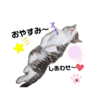 ねこのナゴヤだよ（個別スタンプ：13）