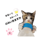 ねこのナゴヤだよ（個別スタンプ：15）