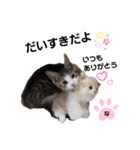 ねこのナゴヤだよ（個別スタンプ：16）