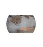 漱石シリーズ（個別スタンプ：1）