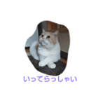 漱石シリーズ（個別スタンプ：2）