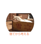漱石シリーズ（個別スタンプ：3）