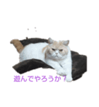 漱石シリーズ（個別スタンプ：6）