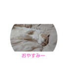 漱石シリーズ（個別スタンプ：7）