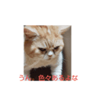 漱石シリーズ（個別スタンプ：8）
