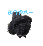 あん(176)（個別スタンプ：7）