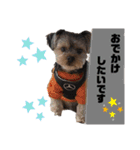 そら5（個別スタンプ：2）