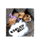 そら5（個別スタンプ：6）