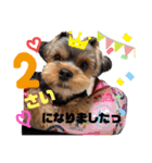 そら5（個別スタンプ：9）