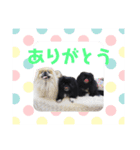 トニー(178)（個別スタンプ：7）