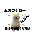 毒づく犬。ごく稀に天使（個別スタンプ：5）