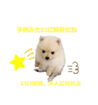 毒づく犬。ごく稀に天使（個別スタンプ：7）