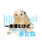 毒づく犬。ごく稀に天使（個別スタンプ：11）