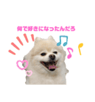 毒づく犬。ごく稀に天使（個別スタンプ：13）