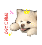 毒づく犬。ごく稀に天使（個別スタンプ：18）