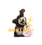 毒づく犬。ごく稀に天使（個別スタンプ：19）