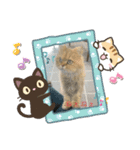 しんばのりたまらら（個別スタンプ：16）