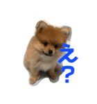 ぽぬたん2（個別スタンプ：14）