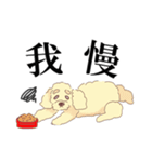 プードルと黒猫の日常（個別スタンプ：4）