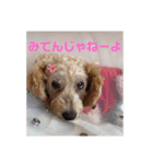 らんちゃん特集（個別スタンプ：2）