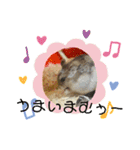 チャチャスタンプ2（個別スタンプ：5）