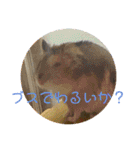 チャチャスタンプ2（個別スタンプ：8）