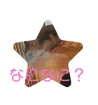 チャチャスタンプ2（個別スタンプ：9）