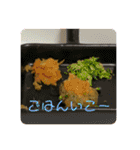 チャチャスタンプ2（個別スタンプ：13）