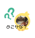 チャチャスタンプ2（個別スタンプ：14）