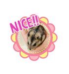 チャチャスタンプ2（個別スタンプ：17）