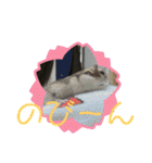 チャチャスタンプ2（個別スタンプ：18）