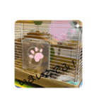 チャチャスタンプ2（個別スタンプ：21）