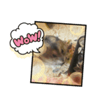 チャチャスタンプ2（個別スタンプ：25）